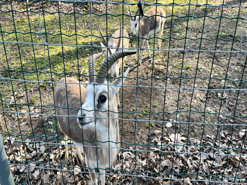 23-02-13 14-02-15 4207